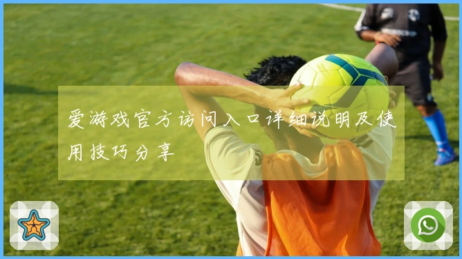爱游戏官方访问入口详细说明及使用技巧分享