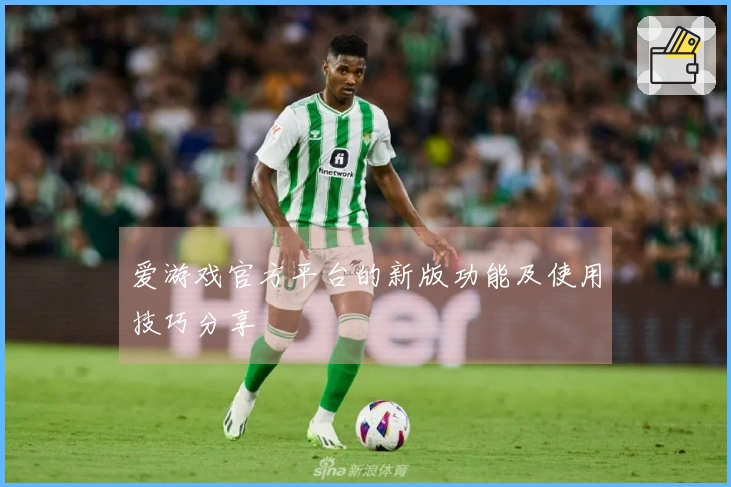 爱游戏官方平台的新版功能及使用技巧分享
