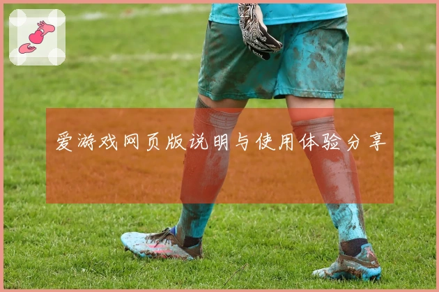 爱游戏网页版说明与使用体验分享
