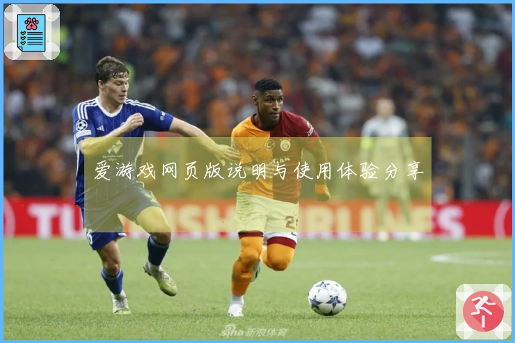 爱游戏网页版说明与使用体验分享