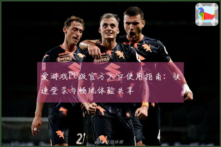 爱游戏PC版官方入口使用指南：快速登录与畅玩体验共享
